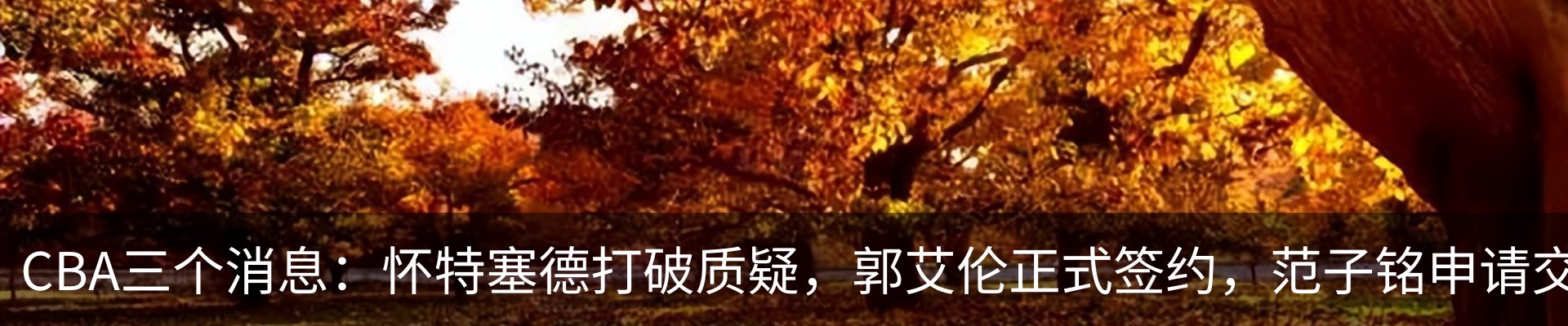 资讯动态